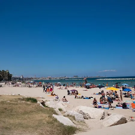 Punta Levante *